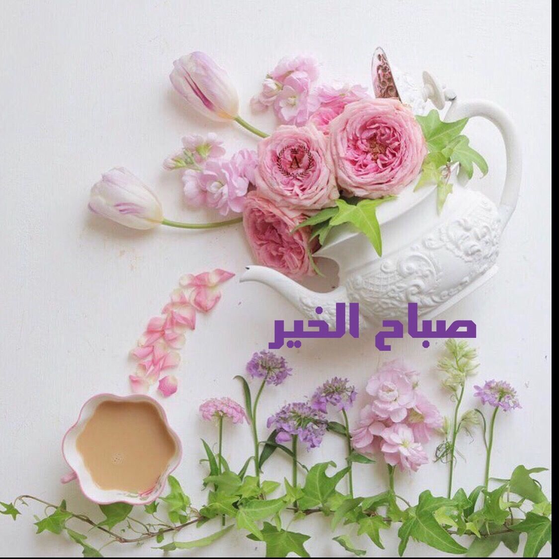 زهور الكلمات 5665 2