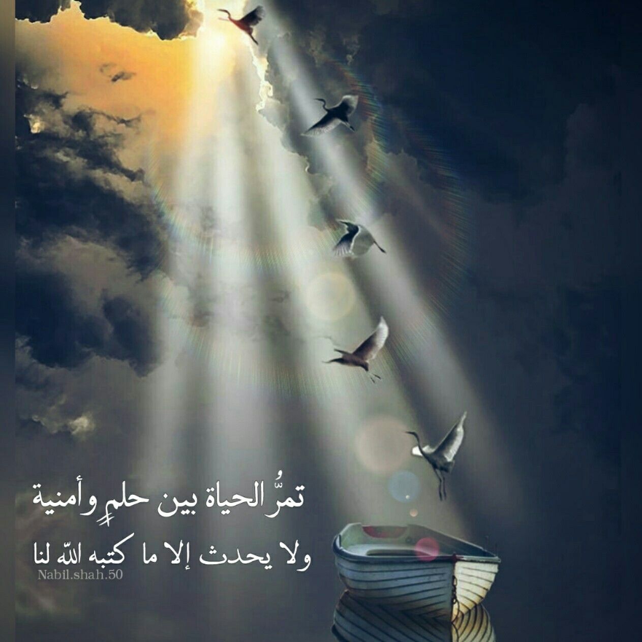 صور عن الاحلام 5595 5