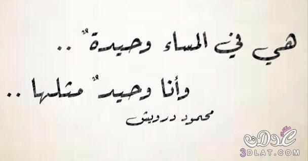 الوحدة بتقتلني كل يوم - شعر عن الوحدة 1882 8