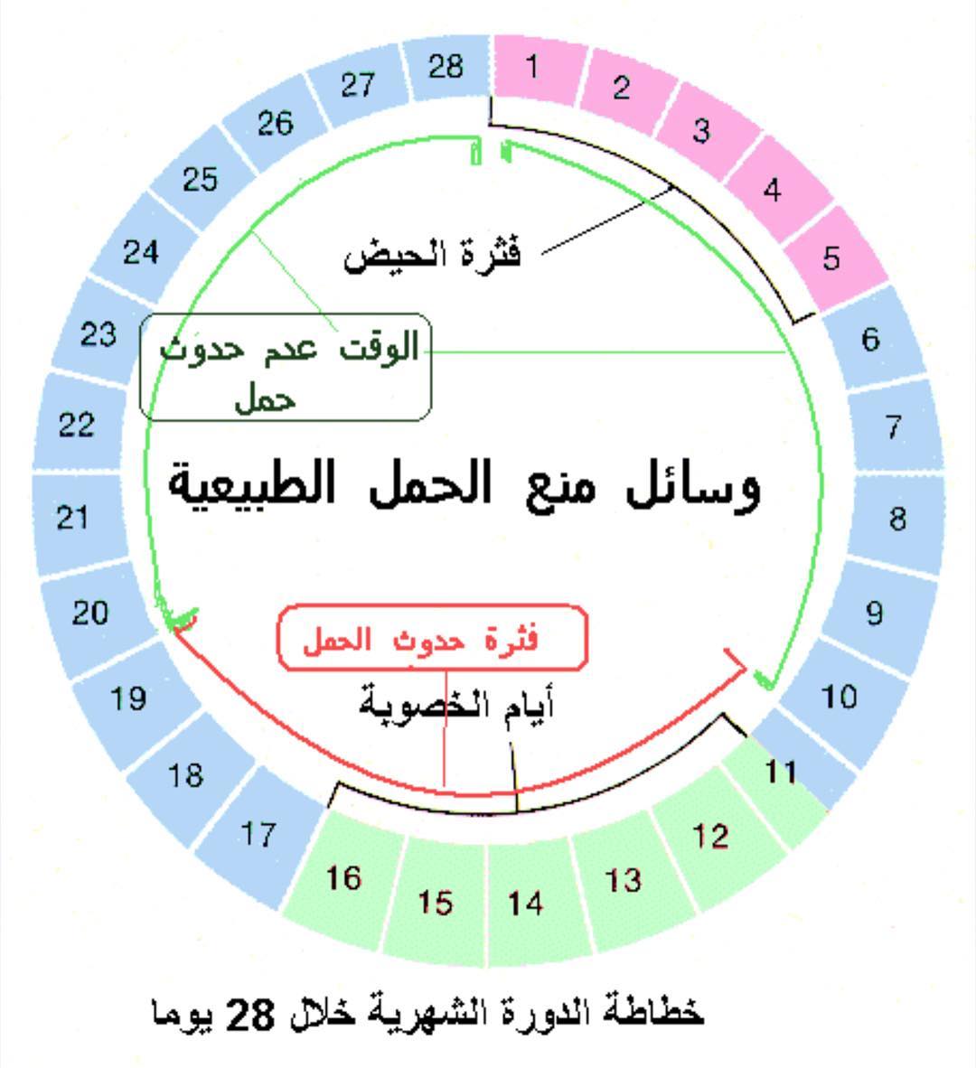 تعرفي على ما هي اضرار اللولب , اضرار اللولب