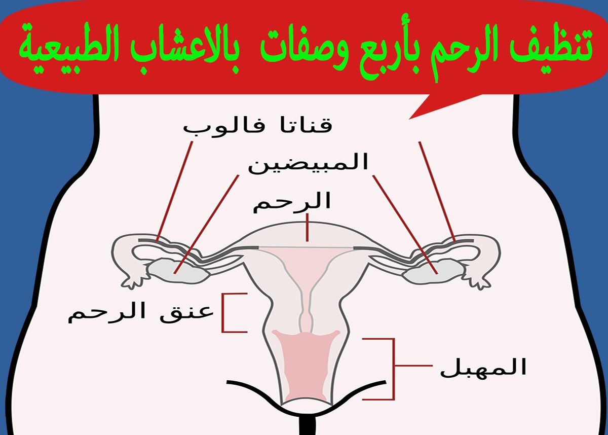 خلطة اعشاب للاجهاض , اضمن خلطة اعشاب للاجهاض