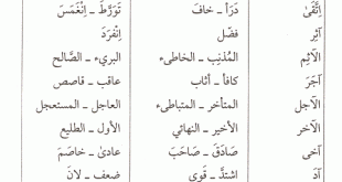 4068 2 معاني الكلمات عربي عربي - مصطلحات عربية قديمة ومعناها هزار مرمر
