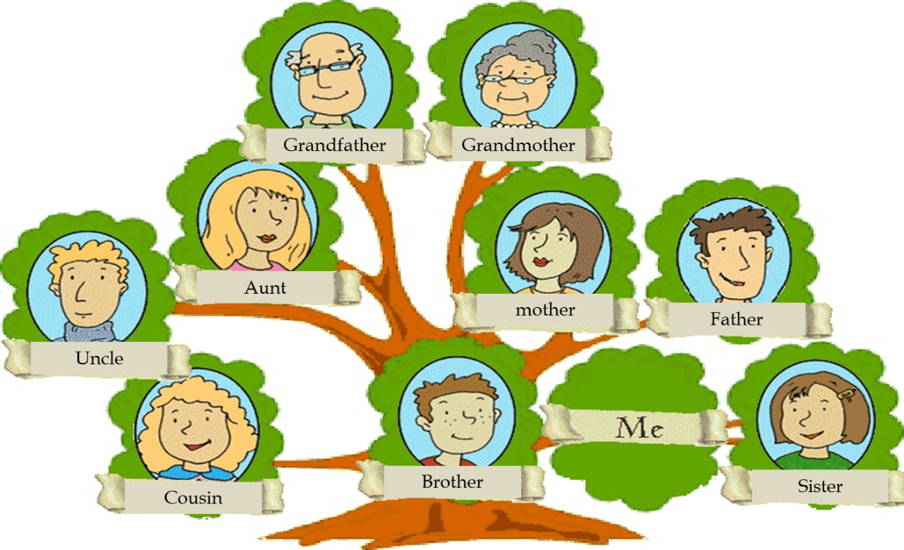 بحث حول شجرة العائلة ماذا يعني شجرة العائلة مساء الورد