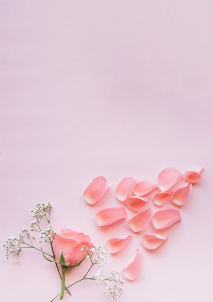 خلفيات وردية مساء الورد